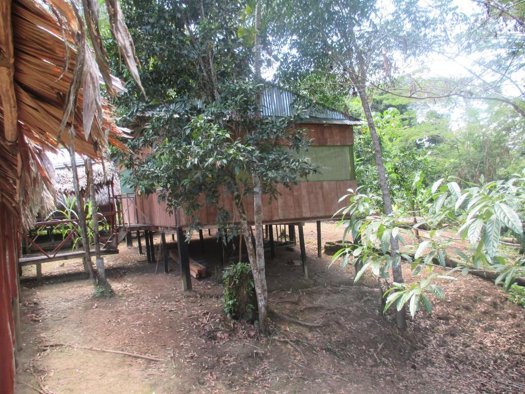 Amazon Queen Lodge Mazán Exteriör bild
