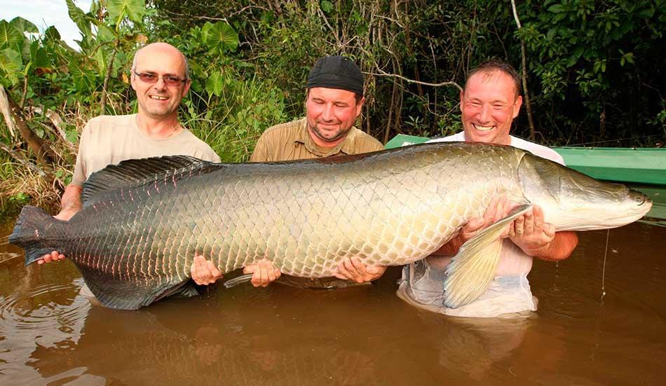 Amazon Queen Lodge Mazán Exteriör bild