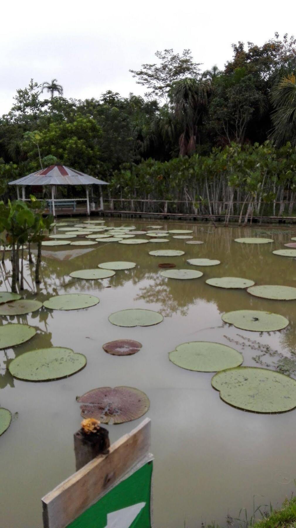 Amazon Queen Lodge Mazán Exteriör bild