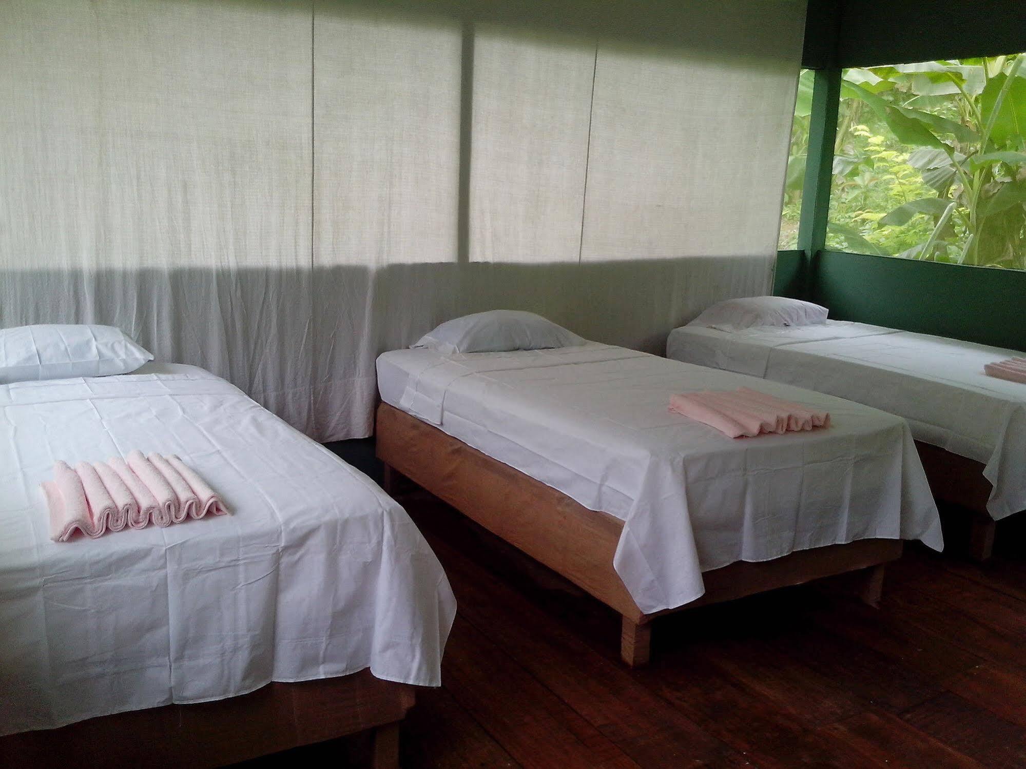 Amazon Queen Lodge Mazán Exteriör bild