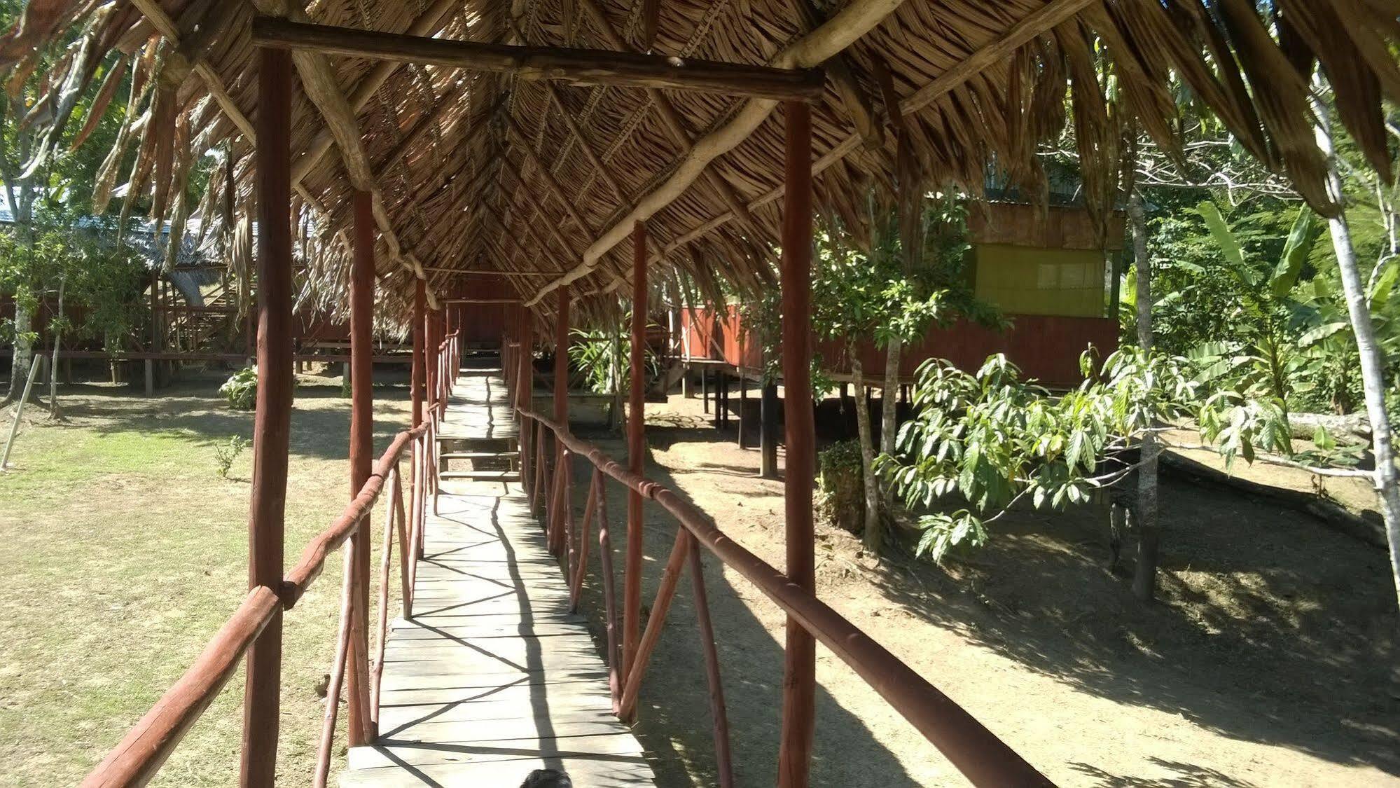 Amazon Queen Lodge Mazán Exteriör bild